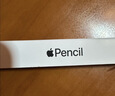 Apple/苹果 Pencil(USB-C) 磁吸触控笔手写笔苹果笔电容笔iPad笔 适用iPad(A16)/mini/Pro/Air 实拍图