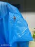长款雨衣防暴雨全身男女雨服成人便携雨披防雨轻便 蓝色款1件 实拍图