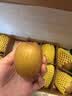 佳沛（zespri）新西兰阳光金果10个装单果重约103-114g 水果礼盒 猕猴桃 实拍图
