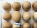 京鲜生 无抗保洁鲜鸡蛋30枚/盒 健康轻食 礼盒送礼 1.5kg/盒 源头直发 实拍图