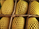 佳沛（zespri）新西兰阳光金奇异果 8个装 特大果单果重约124-146g 水果猕猴桃 实拍图