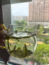 梅府茗家2026新茶明前特级龙井绿茶叶礼盒装220g春茶送礼物长辈 实拍图
