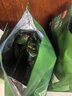 伊利全聪高个子高锌高钙 生牛乳学生儿童奶粉 DHA+ARA 便携装 400g 实拍图