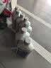 采埃孚（ZF）0AW CVT 8速无级变速箱油/波箱油滤芯套装奥迪A4L/A5/A6L C7 7L 实拍图