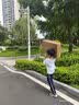 贝恩施婴儿健身架0-6个月宝宝脚踏钢琴玩具0-1岁新生儿礼盒满月见面礼物 实拍图