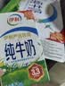 伊利【新鲜日期】纯牛奶250ml*21盒整箱 优质乳蛋白早餐奶 礼盒装 实拍图