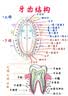 奥妙（OMO）吴磊好物酵素洁净除菌除螨持久留香10.48斤校服净洗衣液京东自营 实拍图