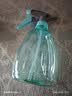 喷壶浇花浇水喷雾器气压式喷水壶家用园艺养花500ml 南瓜喷壶透蓝【1个装】 实拍图
