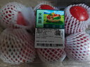 【水果菜】童年味道西红柿约1kg 实拍图