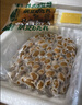 喜代美山大纳豆40g*24盒 日本原装进口北海道极小粒 纳豆即食激酶发酵菌 实拍图