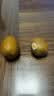 佳沛（zespri）新西兰 阳光金果18粒超大果原箱单果175-204g 猕猴桃水果礼盒 实拍图