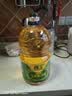 西王 食用油 玉米胚芽油 5L 非转基因物理压榨（新老包装交替发货） 实拍图