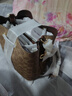 蔻驰（COACH）【品牌直供】奢侈品女包ROWAN水桶斜挎包棕CBH07 送女友七夕礼物 实拍图