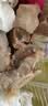 双汇猪蹄块净重2斤冷冻免切免洗去毛猪蹄子猪爪猪手猪脚猪肉生鲜烧烤 实拍图