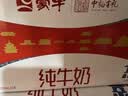 蒙牛全脂纯牛奶250ml*24盒 世界杯定制装送礼礼盒 实拍图
