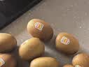 佳沛（zespri）佳沛奇异果新西兰进口阳光金果黄心猕猴桃水果团购中秋礼品礼盒 【礼盒】优选 8颗 单果约100-120g 【JD顺丰-送货上门】 实拍图