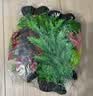 萌嘟星宠 仿真水草鱼缸造景套装水族箱布景装饰摆件假植塑料假水草 5件套 实拍图