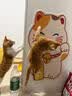 欢宠网防猫抓贴沙发保护套猫咪猫爪防抓垫防挠板保护膜贴膜透明防水3米 实拍图
