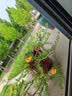 点石制笔【毕业礼物】时空舱太空舱六人组文具套装高颜值学生生日礼物速干中性笔黑笔钢笔312E 实拍图
