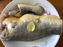 三都港 冷冻黄花鱼700g/2条装 宁德大黄鱼 深海鱼 生鲜 鱼类 海鲜水产 实拍图