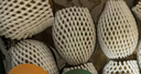 佳沛（zespri）新西兰阳光金果10个装单果重约103-114g 水果礼盒 猕猴桃 实拍图