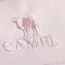 骆驼（CAMEL）CamelTex户外御寒冲锋衣男女同款防油污外套三合一登山服  M 实拍图