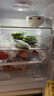 香雪海  冰箱一级能效小冰箱小型家用双开门冷藏冷冻保鲜两门二门冰箱 宿舍租房办公室电冰箱以旧换新 168L【一级能效丨节能省电】双门冰箱 实拍图