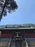 九牧王短袖polo衫男【凉感抑菌polo衫】夏季亲肤透气速干短袖T恤男 实拍图