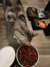 网易严选猫条猫湿粮成猫幼猫通用零食三文鱼+扇贝口味12g*100条 实拍图