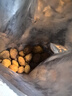 西域美农树上杏干200g*3袋 新疆特产吊干杏树上杏 无添加零食酸甜软糯肉厚 实拍图