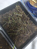 史丹利花土营养土6L 养花通用型多肉兰花专用种菜种花家用泥炭土壤种植 实拍图