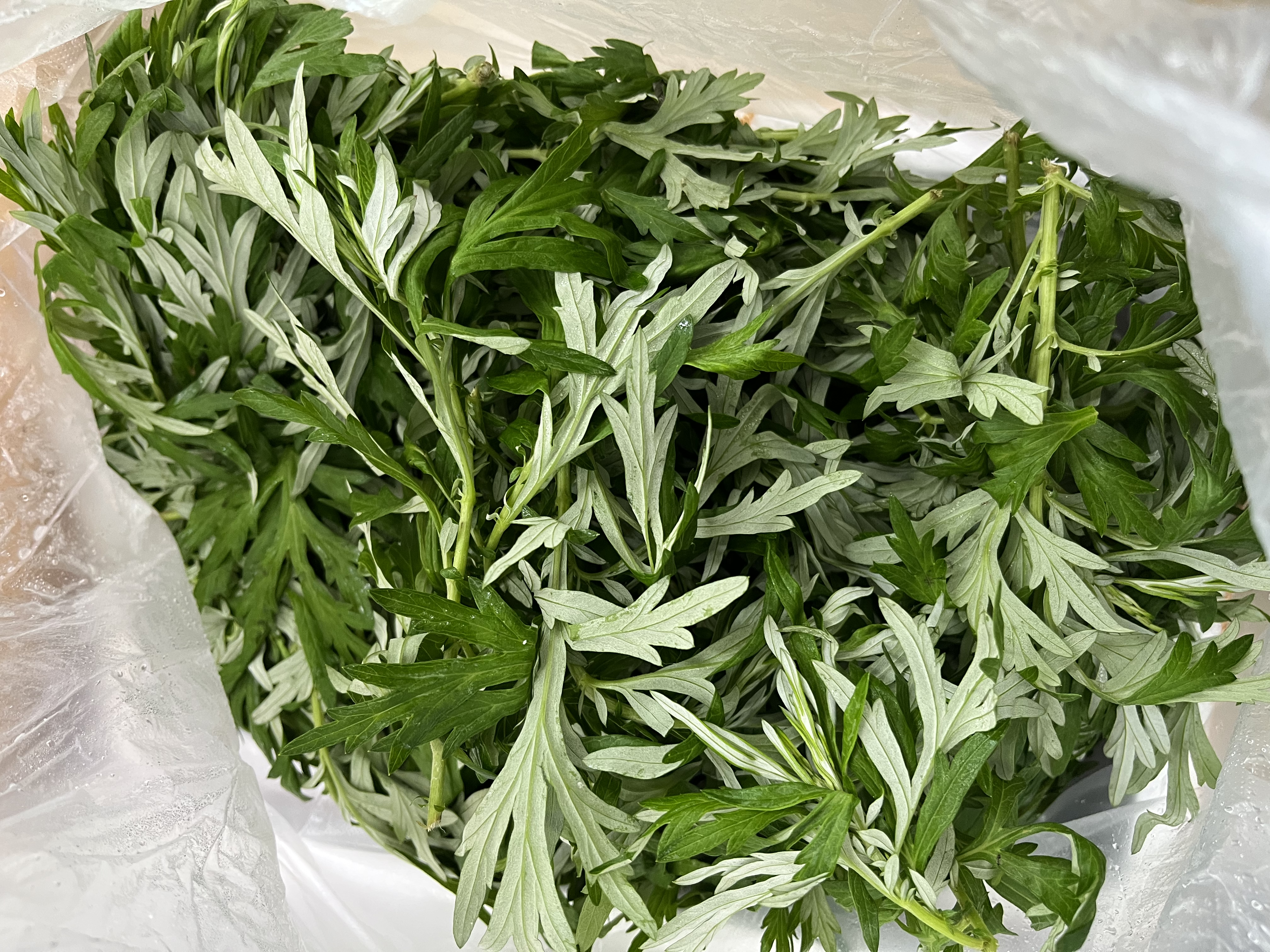 艾草新鲜食用蔬菜现摘清明草粑粑青团3斤顺丰艾叶新鲜艾草叶 【顺丰快递】 1000g 实拍图
