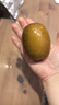 佳沛（zespri）新西兰阳光金奇异果10粒巨大果单果146-175g 猕猴桃水果礼盒 实拍图