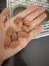 农香森 原味巴旦木仁400g罐装新鲜口感 坚果年货烘焙干果零食 实拍图