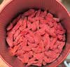 京东京造特优贡果红枸杞500g 新货宁夏中宁头茬枸杞茶160粒节日礼品 实拍图