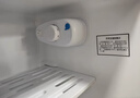 志高（CHIGO）小冰箱迷你小型家用冷藏冷冻两用宿舍出租房用双门办公室电冰箱节能省电 【一级能效】82L银色【全国联保丨节能省电】 实拍图