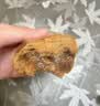 广州酒家核桃包750g 20个 早餐半成品早茶点心包子面点食品美食面点预制菜 实拍图