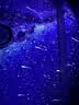 POCOCO星空投影灯满天星卧室睡眠小夜灯氛围灯星空顶女生七夕节礼物女孩 实拍图