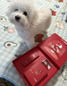 SK-II[CRYBABY礼盒]神仙水精华75ml化妆品水乳护肤套装哭娃sk2生日礼物 实拍图
