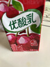 伊利【时代少年团同款】优酸乳车厘子味250ml*24盒 乳饮料牛奶饮品 实拍图