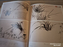 经典全集《郑板桥画集》8开中国画临摹画册书籍技法教材竹子画兰花书画字画书法临本写意花鸟名作赏析鉴赏 晒单实拍图