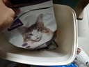 网易严选全价冻干双拼猫粮3.0 猫干粮成猫幼猫通用高鲜肉粮 自营金选1.8kg 实拍图
