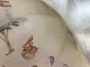 康贝邦（KangBeiBang）儿童枕头6-12岁小学生枕头儿童专用枕夏季护颈5-8岁纯棉枕套A类 实拍图