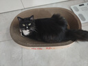 【京东快递】猫抓板猫窝一体防虫耐抓不掉屑加厚大号瓦楞纸 浅黄色 椭圆65*45*9cm 实拍图