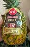 佳农菲律宾黑钻凤梨1粒装 净重2.4斤起 生鲜水果 源头直发 包邮 实拍图