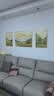 艺环宇客厅装饰画沙发背景墙挂画轻奢高级感大气高档墙画新款三联墙壁画 实拍图