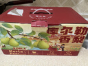 京鲜生 新疆库尔勒香梨8斤精品礼盒装 稀缺 单果140g+ 新鲜水果 实拍图