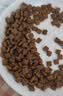 皇家猫粮 幼猫奶糕 幼猫猫粮 BK34 通用粮 1-4月 2KG 实拍图