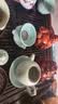 净安（Cleafe）茶垢清洁剂茶渍咖啡渍清除剂保温杯茶壶茶垢去渍剂230g*2瓶 实拍图