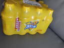 康师傅 冰红茶330ml*12瓶 柠檬红茶饮料饮品轻巧装整箱 热门商品 实拍图
